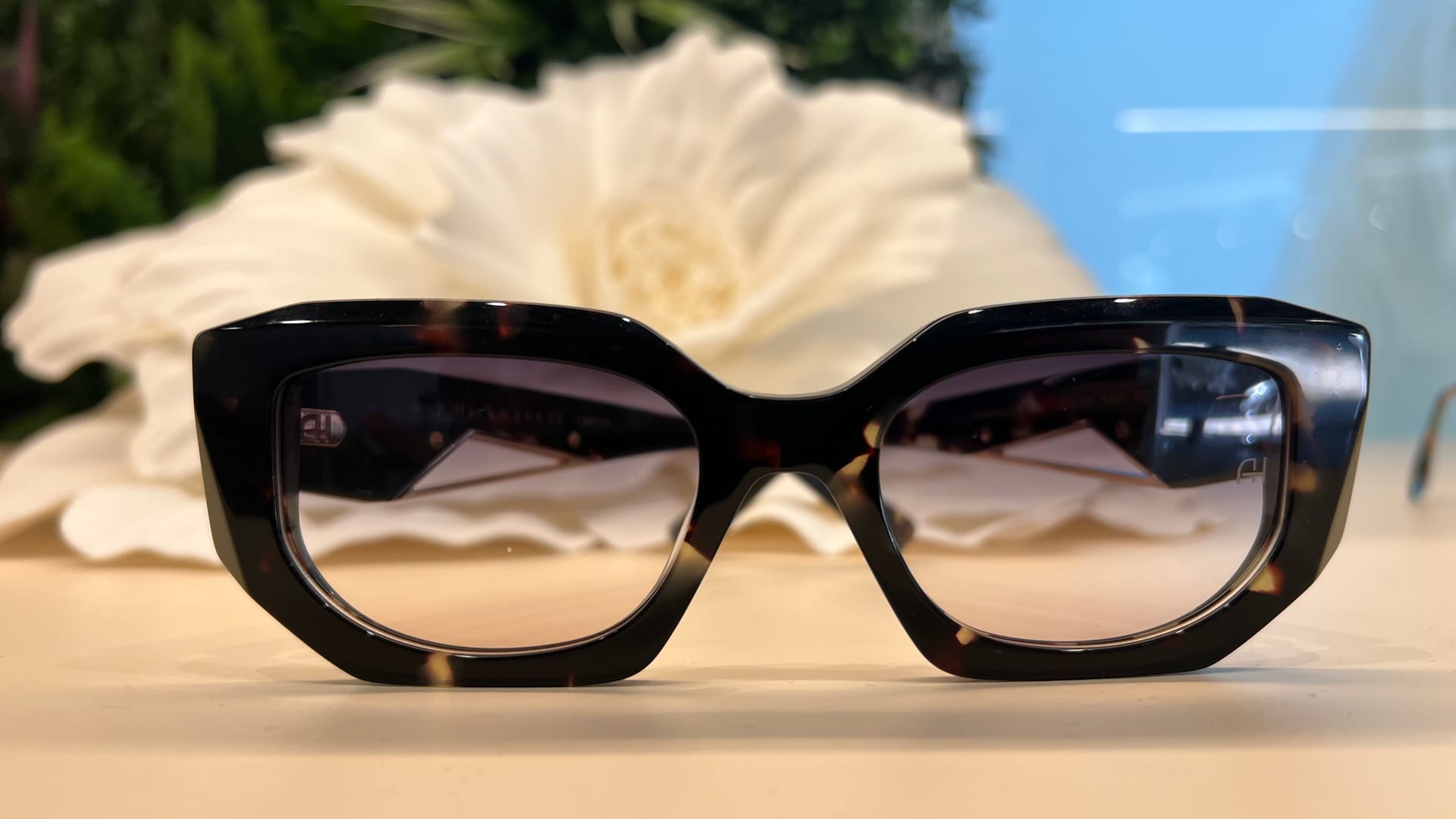 Modelo: Ana Hickmann AH9527 H02